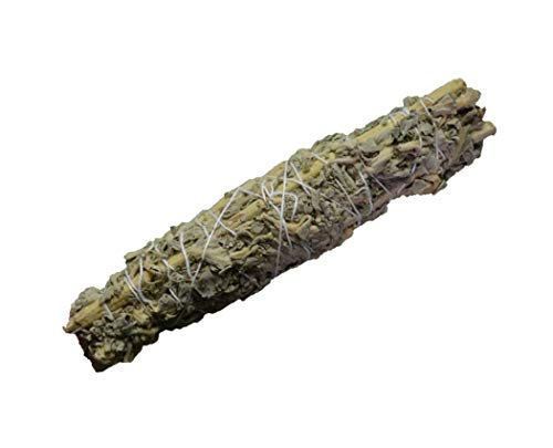 Kriti Creations Sage Bundle (Pack of 4) 3