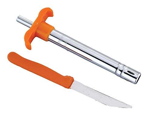 Pigeon Handy Chopper with 5 Stainless Steel Blades and 1 Plastic Whisker (14077 , XL, Green) & Gas Lighter Smart with free 1 knife 6