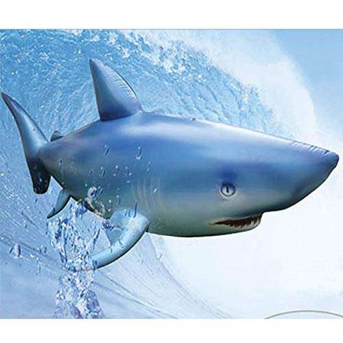 Geotoys Inflatable Shark 5