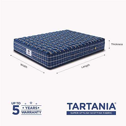 Peps Tartania Pocketed Spring Mattress 8 inch Queen Size (Dark Blue, 80X60X08 inch) with 2 Pillows 4