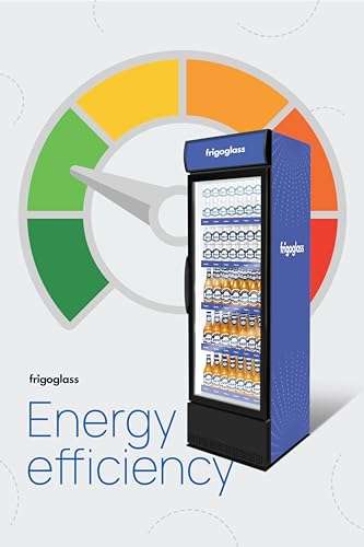 Frigoglass hard top 440L freezer; Double door, Convertible; With 4 year comprehensive warranty 6