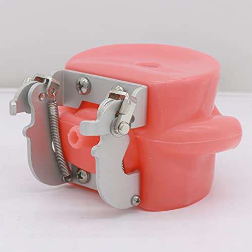 SEUJJRO Dental Soft Gum Standad Typodont Study Model with 28pcs Removable Teeth With Simulates Cheeks 5