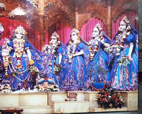 Templeshop Mayapur Iskcon Radha Madhav Astasakhi Photo Frame,for Home & Templ e Decoratction,Made by Ply Wood Plastic Size (15/36 Inches) 5