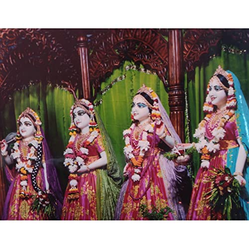 Templeshop Mayapur Iskcon Radha Madhav Asta Sakhi Photo Frame,Made by ply Wood for Home & Temple Decoration Size 12/30 inches 6