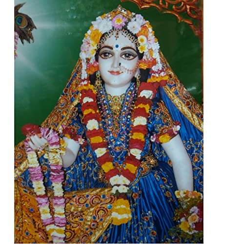 Templeshop Mayapur Iskcon Radha Krishna Photo Frame, Made by ply Wood Plastic for Home & Temple Decoraction Size (16/20 inches) 4