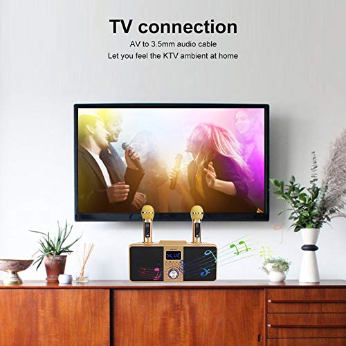 Bewinner1 KTV Kit Bluetooth Karaoke Speaker, Karaoke Equipment with Double Microphone for Home, AUX USB Universal Video Multipurpose Machine for Phone/Tablet/PC, 2 Wireless Karaoke Microphones(Oro) 4
