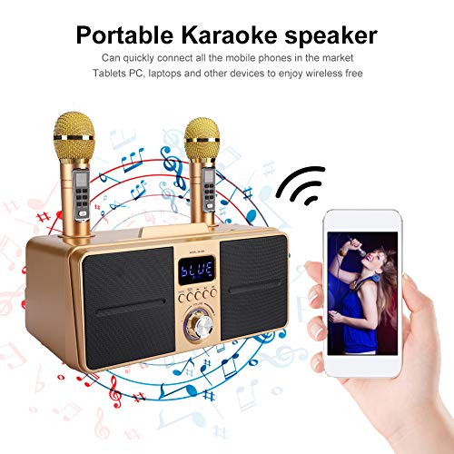Bewinner1 KTV Kit Bluetooth Karaoke Speaker, Karaoke Equipment with Double Microphone for Home, AUX USB Universal Video Multipurpose Machine for Phone/Tablet/PC, 2 Wireless Karaoke Microphones(Oro) 6