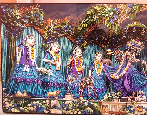 Iskcon Mayapur Radha Madhav Asta sakhi Photo Frame Size 12/30 Inches 4