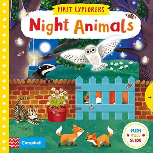 Night Animals (Campbell First Explorers, 1) 2