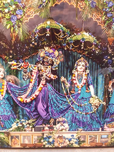 Iskcon Mayapur Radha Madhav Asta sakhi Photo Frame Size 12/30 Inches 6