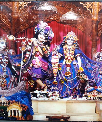 Templeshop Mayapur Iskcon Radha Madhav Astasakhi Photo Frame,for Home & Templ e Decoratction,Made by Ply Wood Plastic Size (15/36 Inches) 3