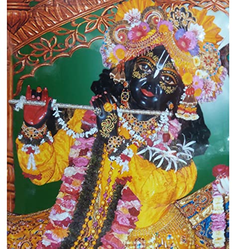 Templeshop Mayapur Iskcon Radha Krishna Photo Frame, Made by ply Wood Plastic for Home & Temple Decoraction Size (16/20 inches) 5
