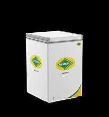 Western Deep Freezer Convertible D150H 164 1