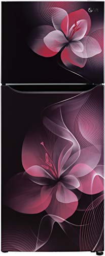 LG 260 L 2 Star Smart Inverter Frost-Free Double Door Refrigerator (GL-S292DPDY, Purple Dazzle, Convertible) 1