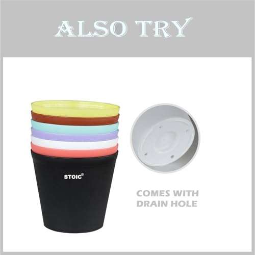 STOIC Nursery Planter Pot |Indoor and Outdoor 4 inches Plastic Flower Pots for Home/Office/Table/Garden/Balcony Decoration | Pack of 24 | White 5