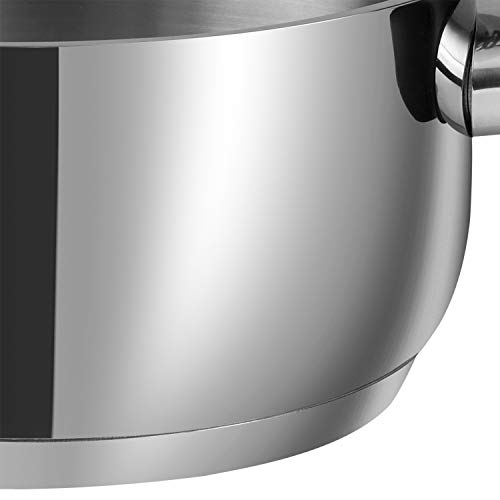 Vinod Stainless Steel Deluxe Saucepot with Glass Lid - 5.2 litre, 24 cm | Biryani Pot | Riveted Sturdy Handles | Toxin Free | 2 Year Warranty | Induction and Gas Base - Silver 2