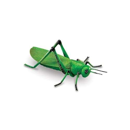 Learning Resources Jumbo Insects, 7-Insects 4