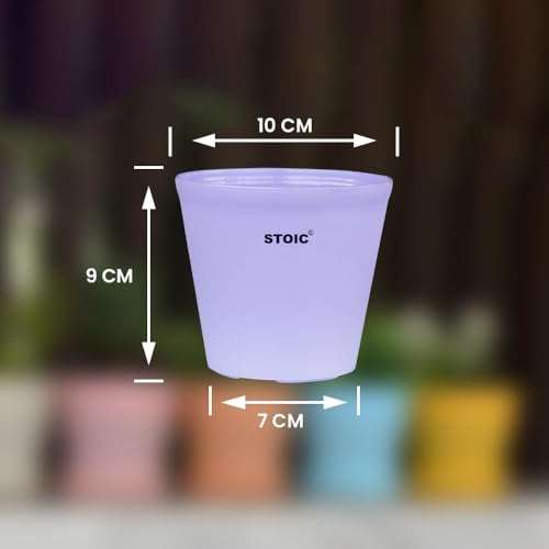 STOIC Nursery Planter Pot |Indoor and Outdoor 4 inches Plastic Flower Pots for Home/Office/Table/Garden/Balcony Decoration | Pack of 24 | Purple 3