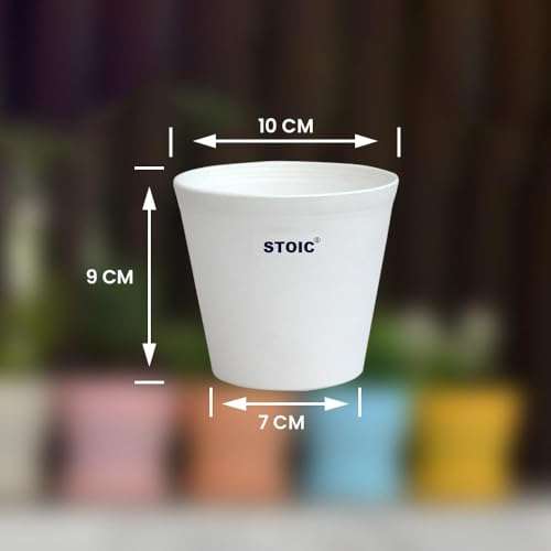 STOIC Nursery Planter Pot |Indoor and Outdoor 4 inches Plastic Flower Pots for Home/Office/Table/Garden/Balcony Decoration | Pack of 24 | White 3