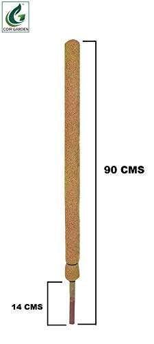 COIR GARDEN COIR MOSS STICK - COCO POLE 3 Feet(91 CM) - 6 PIECES - COIR MOSS STICK for CLIMBING MONEY PLANT, INDOOR & OUTDOOR PLANTS, HOUSING PLANTS SUPPORT STICK 2