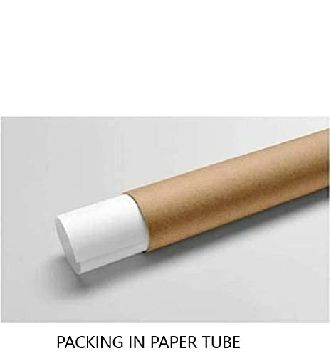 inr | A2 Drawing Paper Super Milky White Cartridge Sheets | Perfect Size 420 mm x 594 mm | 320 GSM | Art, Craft, Painting and Project Works | Pack of 5 Loose Sheets | GRD999 5