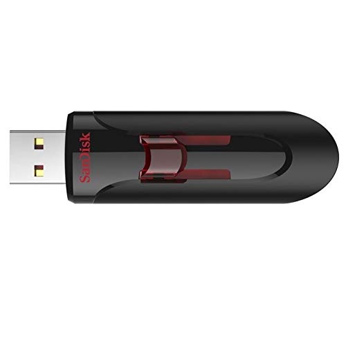 SanDisk 256GB Cruzer Glide 3.0 USB Flash Drive (2 Pack) Laptop Computer Pen Drive (SDCZ600-256G-G35) Bundle with (1) Everything But Stromboli Lanyard 3
