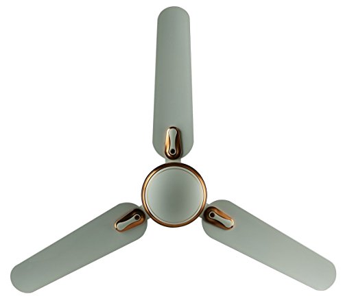Bajaj Esteem 1200mm Ceiling Fan (Bianco Rust) 3