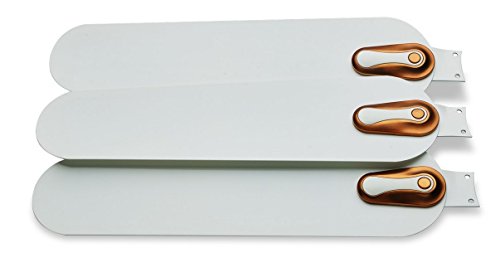 Bajaj Esteem 1200mm Ceiling Fan (Bianco Rust) 5
