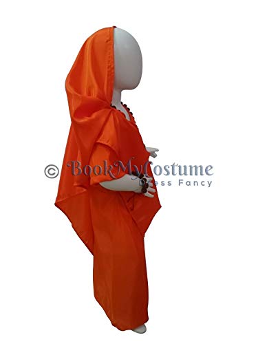 BookMyCostume Vanwasi Sita Shabri Dussehra Fancy Dress Costume 3-4 years 2