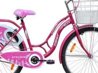 TATA City Bike for Women , Elly Design 2021 Model 26 INCHES Wheels with Stainless Steel Frame (Pink) 3