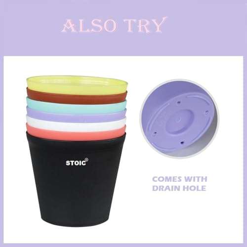 STOIC Nursery Planter Pot |Indoor and Outdoor 4 inches Plastic Flower Pots for Home/Office/Table/Garden/Balcony Decoration | Pack of 24 | Purple 5