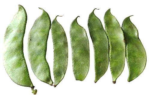 Hyacinth, Papdi Beans, simba, Dolichos Bean, Avarai (75 Seeds) 2