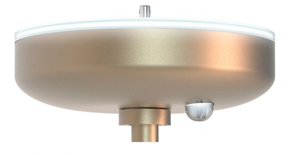 SkyX SkyPlug Smart Plug & Play Lighting Base - Corvus-Champagne Bronze Finish