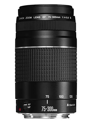 Canon 75-300mm F4-5.6 III EF Lens (Non-USM) 2