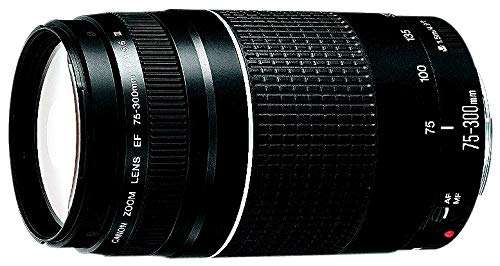 Canon 75-300mm F4-5.6 III EF Lens (Non-USM) 3