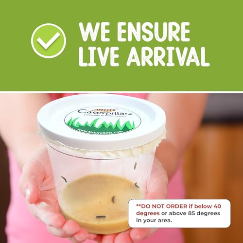 Live Butterfly Growing Complete Kit - Includes 10 Live Caterpillars - All-in-One Kit with Net Cage, Food, and Rearing Supplies - Book Bundle 3