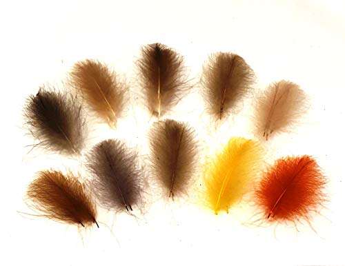 Hemingway's CDC Feathers Set of 10 2