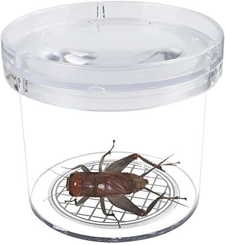 SimpleSS 8 Pieces Bug Viewer Critter Insect Cage Magnifying Insect Box Bug Magnifier Container Bug Catcher Cage, Science Nature Exploration Tools 4