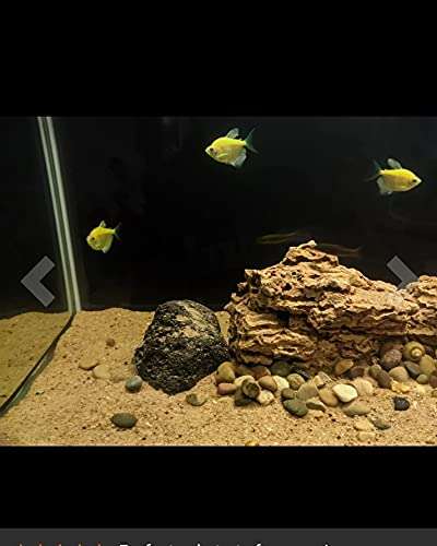 Jagmagahat Natural Sand Reti and Organic River Sand Multi Purpose 3kg from Kaveri Pure for Lawn, Garden, Plants, Fish Pot and Aquarium River Sand 4