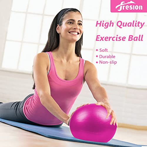 Fresion Small Exercise Ball Soft Yoga Balls,Mini Pilates Ball 25cm for Core Training Exercise,Durable 5