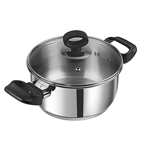 Vinod Stainless Steel Deluxe Saucepot with Glass Lid - 5.2 litre, 24 cm | Biryani Pot | Riveted Sturdy Handles | Toxin Free | 2 Year Warranty | Induction and Gas Base - Silver 1