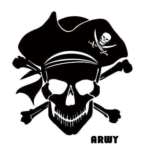 Roonir car Stickers Exterior Pirate Skull Car Windows, Bumper. Hood, Side car Stickers&Decals(Black) Size(14.5X15.5 cm) 1