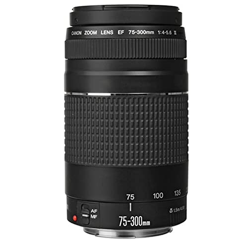 Canon EOS R5 Mirrorless Camera w/RF 24-105mm f/4 L is USM Lens + EF 75-300mm f/4-5.6 III Lens + 2X 64GB Memory + Microphone + Filters + TTL Flash + More (35pc Bundle) 4
