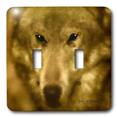 3dRose lsp_8384_2 Spirit Guide Double Toggle Switch 2