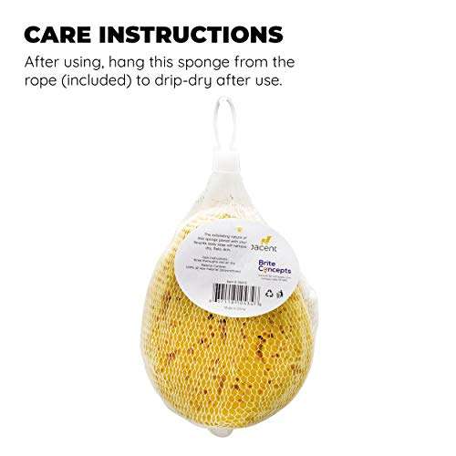 Jacent Deep Cleaning Sea Foam Bath and Body Sponge, 2 Pack 5