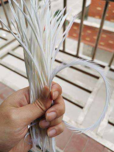5''-9.5'' Feathers Fly Tying Materials for stonefly Nymph Split Tails& Down Wings 50pcs/Pack (White) 4