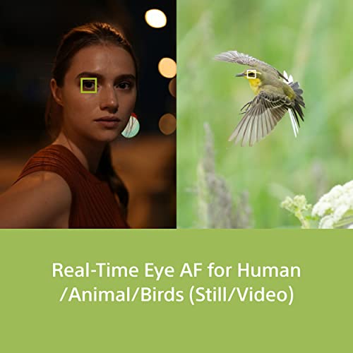 Sony Alpha ILCE-7M4K Full-Frame Hybrid Camera 33MP Interchangeable-Lens Mirrorless Camera with 28-70mm Digital Zoom Lens (4K 60P Video Recording, Real-Time Eye AF for Humans, Birds, Animals) - Black 6