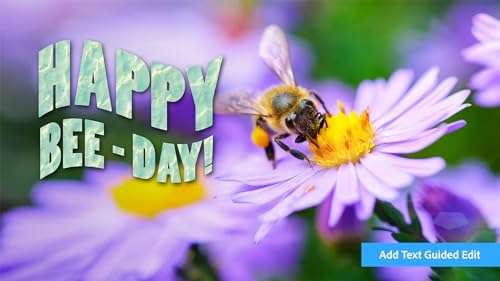 Adobe Photoshop Elements 2024 and Premiere Elements 2024 | Box with Download Code 4