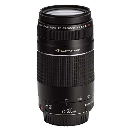Canon 75-300mm F4-5.6 III EF Lens (Non-USM) 5