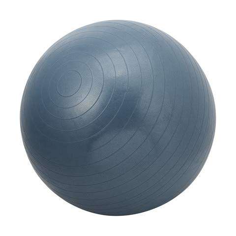 plenzo Gym Ball for Exercise & Fitness Yoga Anti Burst Professional (Multi-Color) 4